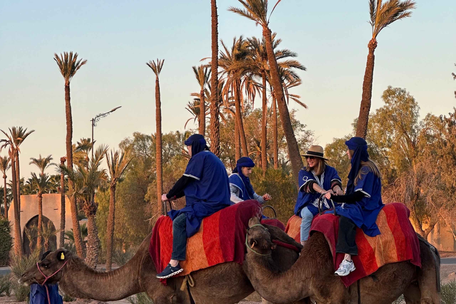 Avventura in cammello nel palmeto di Marrakech