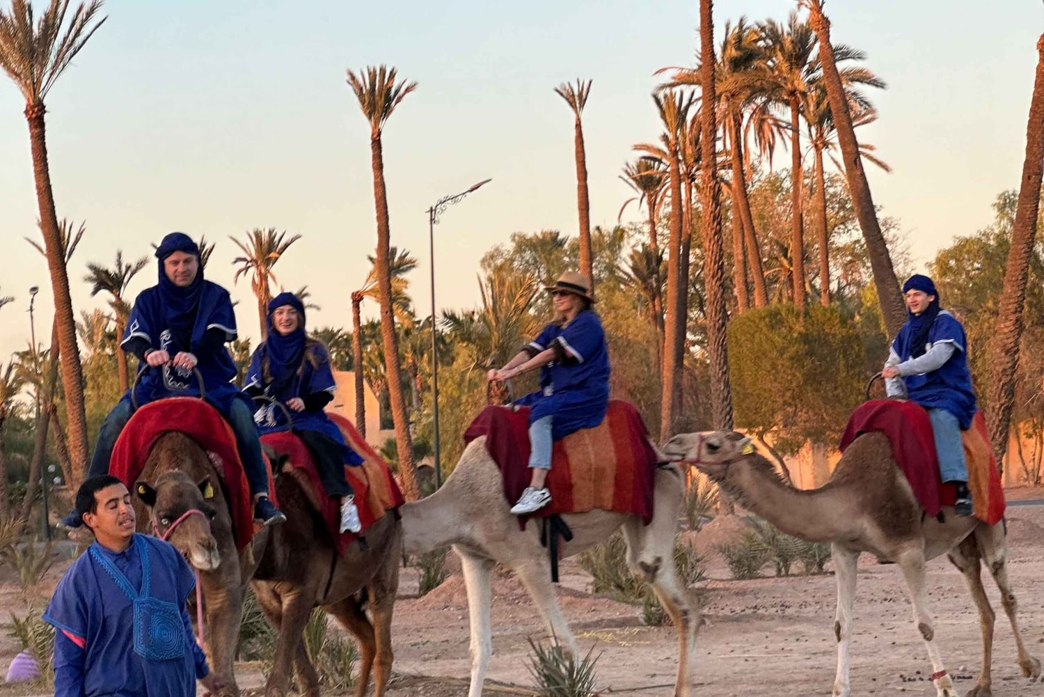 Avventura in cammello nel palmeto di Marrakech