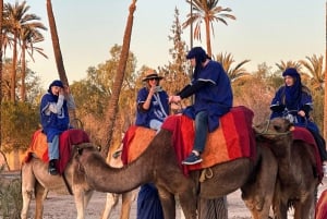 Avventura in cammello nel palmeto di Marrakech