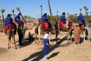 Avventura in cammello nel palmeto di Marrakech