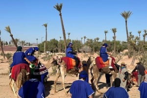 Avventura in cammello nel palmeto di Marrakech