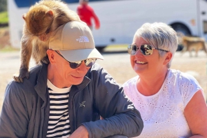 Casablanca: 6-Day Tour To Marrakech Via Chefchaouen & Desert