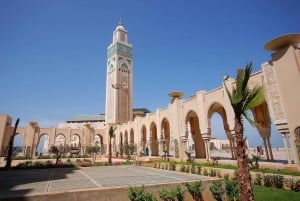 Casablanca Day Tour from Marrakech and Big Mosque Visit