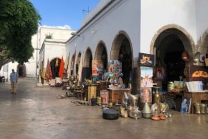 Casablanca: Private 3-Day Tour to Marrakech & Ourika Valley