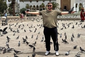 Casablanca: Private 3-Day Tour to Marrakech & Ourika Valley