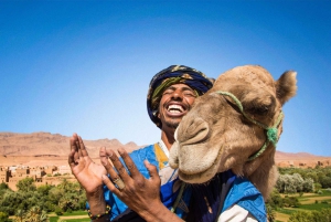 Casablanca: Private 3-Day Tour to Marrakech & Ourika Valley