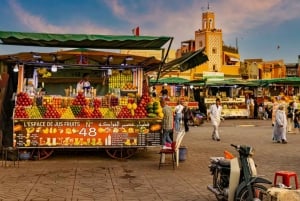Casablanca: Private 3-Day Tour to Marrakech & Ourika Valley