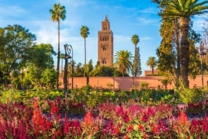 Casablanca: Private 3-Day Tour to Marrakech & Ourika Valley