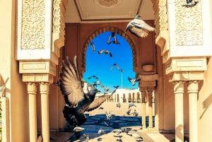 Casablanca Privet Day Tour From Marrakech