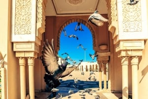 Casablanca Privet Day Tour z Marrakeszu