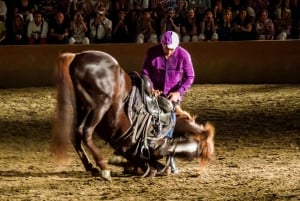 Chez Ali Middag & Hästshow från Marrakech