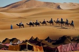 Privat flygtransfer: Marrakech flygplats ⇆ Hotell/Riads