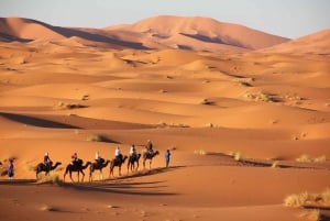Privat flygtransfer: Marrakech flygplats ⇆ Hotell/Riads