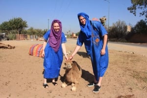 Marrakech: Combo Quad & Camel in the jbilat desert