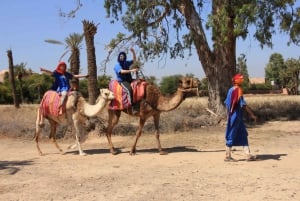 Marrakech: Combo Quad & Kamel in der Wüste Jbilat