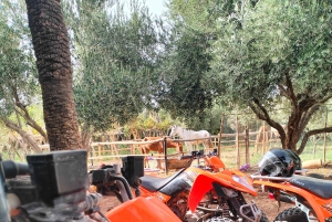 2時間のクワッド付きクッキングクラス