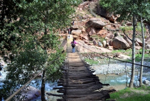 Day Excursion to explore Ourika valley & camel ride