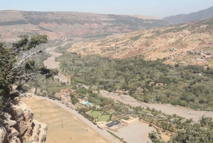 Day Excursion to explore Ourika valley & camel ride