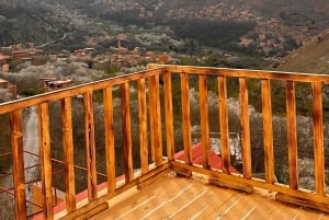 Marrakech: Atlas Mountain, Berber Villages, & Valleys Tour