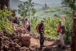 Dagstur Atlasfjellene og Berberlandsbyer med fossefall