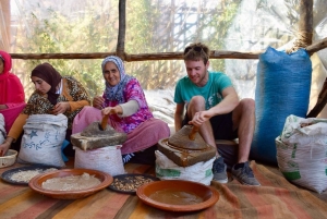 Dagstur Atlasfjellene og Berberlandsbyer med fossefall
