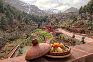 Dagstur Atlasfjellene og Berberlandsbyer med fossefall