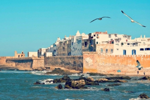 Day Trip From Marrakech to Essaouira All Included
