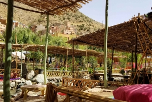 Day trip Ourika valley & atlas mountains with Camel (option)