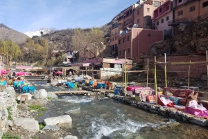 Day trip Ourika valley & atlas mountains with Camel (option)