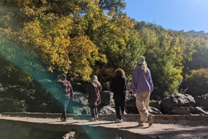 Day Trip & Overnight Desert with Dinner Show & Camel Ride