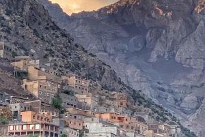 Day Trip & Overnight Desert with Dinner Show & Camel Ride