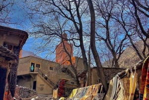 Day Trip & Overnight Desert with Dinner Show & Camel Ride