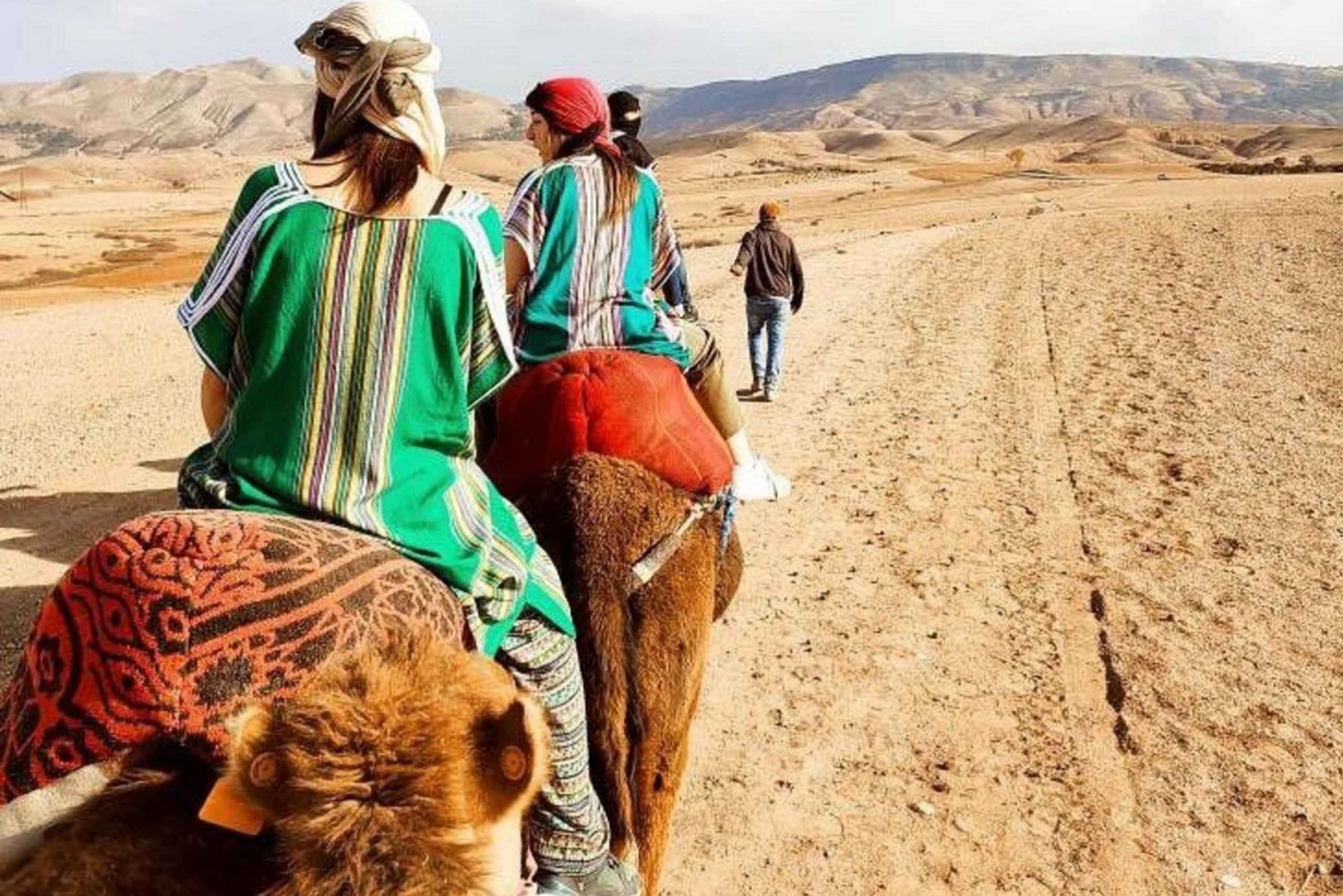 Marrakech: Atlasgebergte, Agafay-woestijn, waterval & lunch