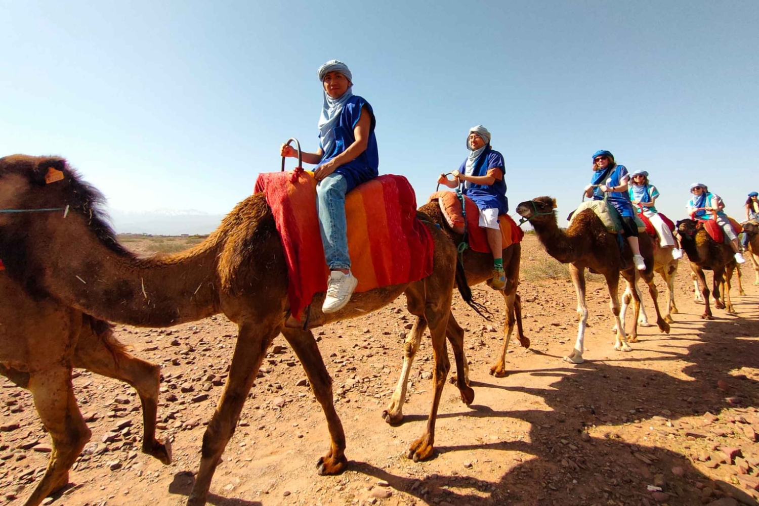 Day Trip to Atlas Mountains, Camel Ride, And Berber Villages
