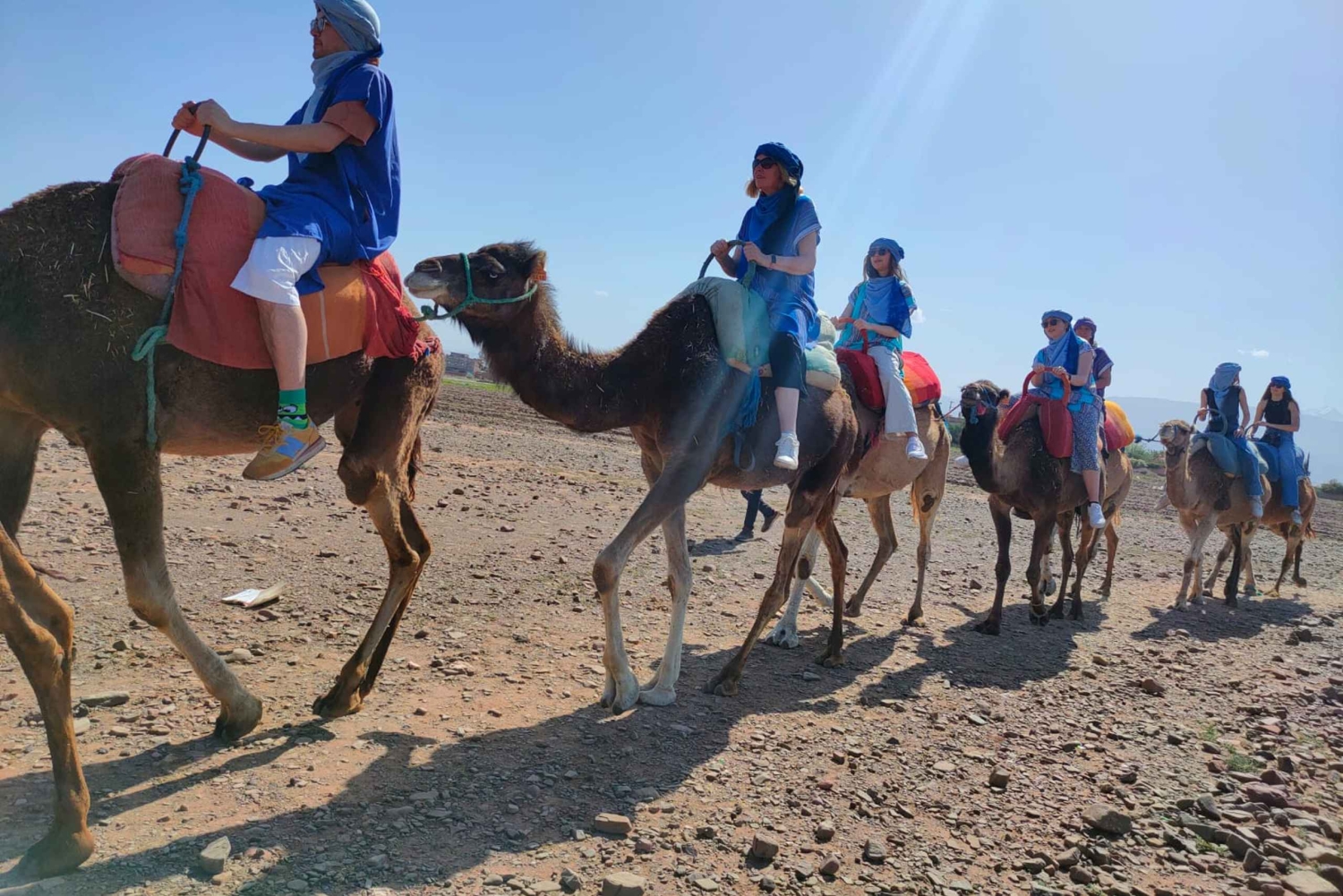 Day Trip to Atlas Mountains, Camel Ride, And Berber Villages