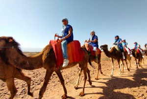 Gita di un giorno alle montagne dell'Atlante, giro in cammello e villaggi berberi