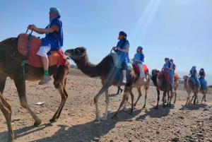 Gita di un giorno alle montagne dell'Atlante, giro in cammello e villaggi berberi
