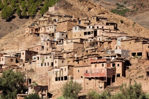 Gita di un giorno alle montagne dell'Atlante, giro in cammello e villaggi berberi