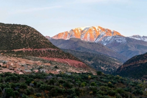 Gita di un giorno alle montagne dell'Atlante, giro in cammello e villaggi berberi