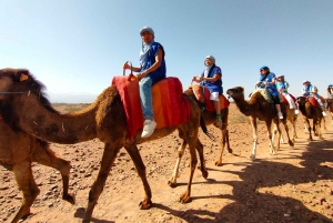 Day Trip to Atlas Mountains, Camel Ride, And Berber Villages