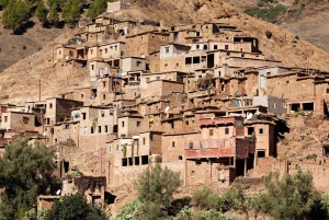 Day Trip to Atlas Mountains, Camel Ride, And Berber Villages