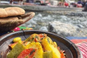 Day Trip to Ourika Valley & Atlas Mountains with Lunch