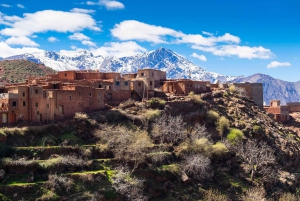 Day Trip to Ourika Valley & Atlas Mountains with Lunch