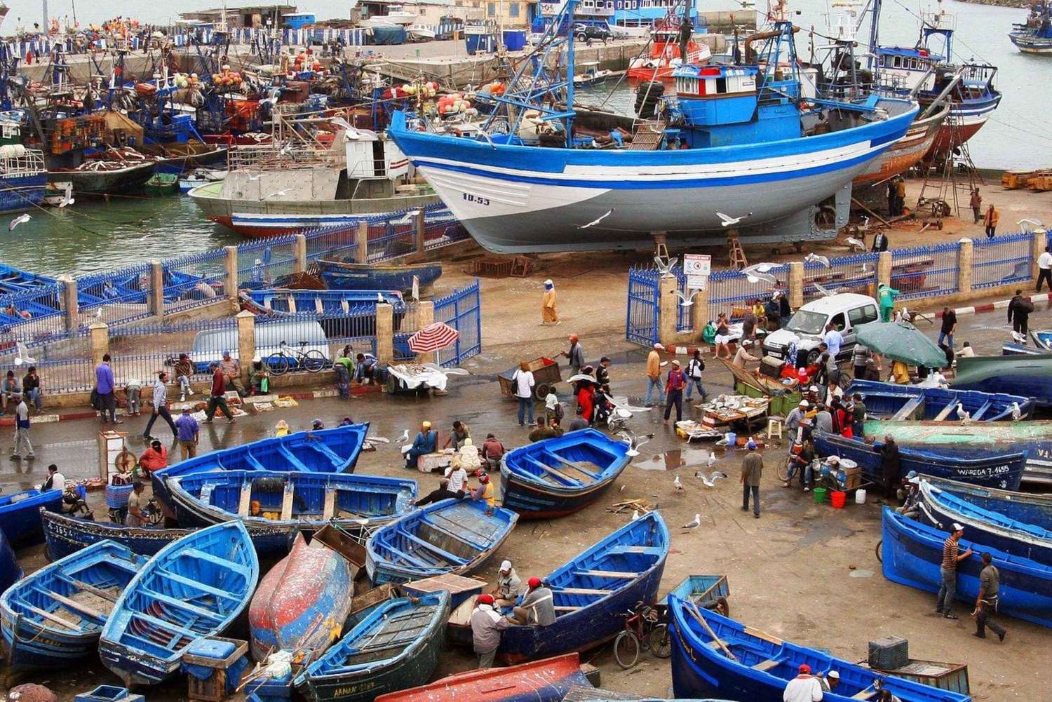 Excursión de un día a Esauira desde Marrakech con guía