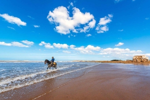 Dagsudflugt til Essaouira fra Marrakech med guide