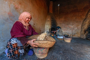 Dagsudflugt til Essaouira fra Marrakech med guide