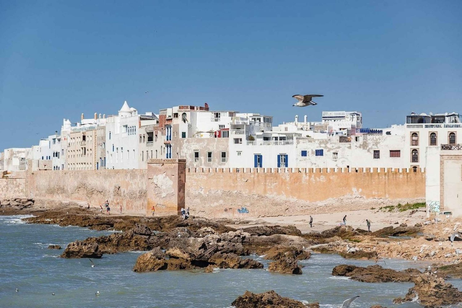 Marrakech: Dagtocht met gids naar Essaouira met Co-Op bezoek