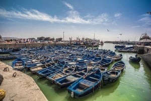 Marrakech: Guided Day Trip to Essaouira with Co-Op Visit