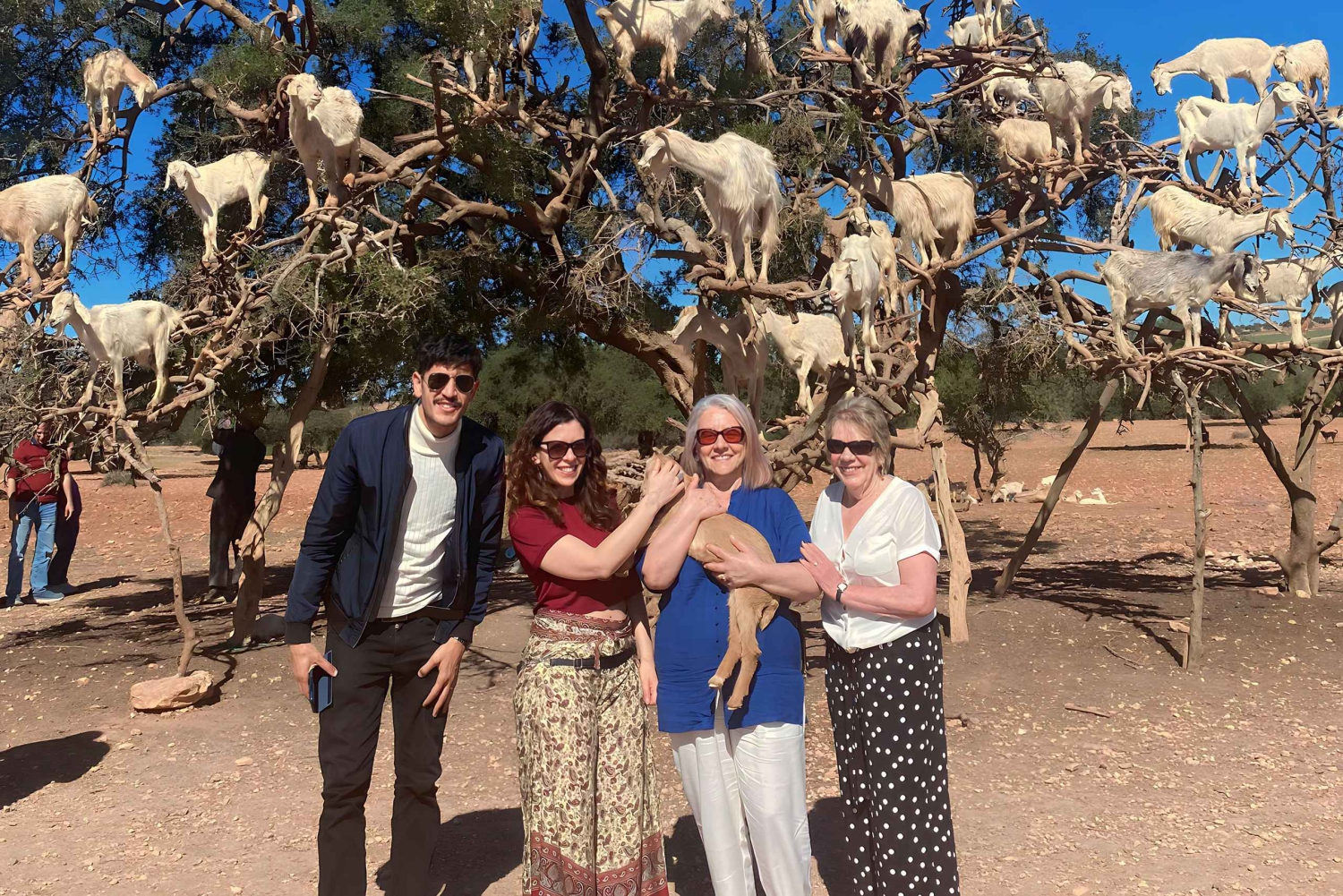 Excursión de un día a Essaouira
