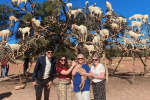 Excursión de un día a Essaouira